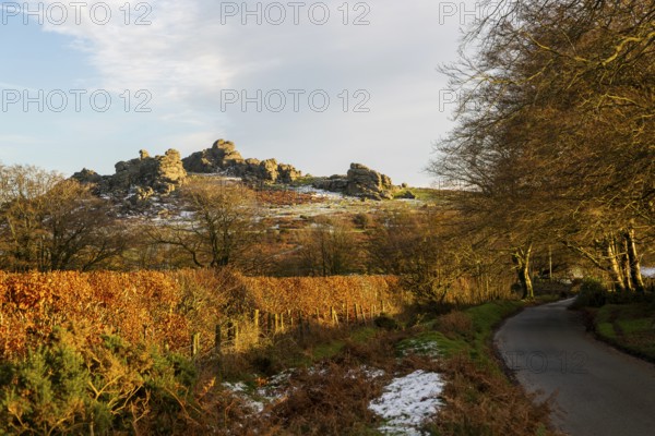 Autumn landscape of Hound Tor, road near Swallerton Gate, Dartmoor national park, north Devon, England, UK