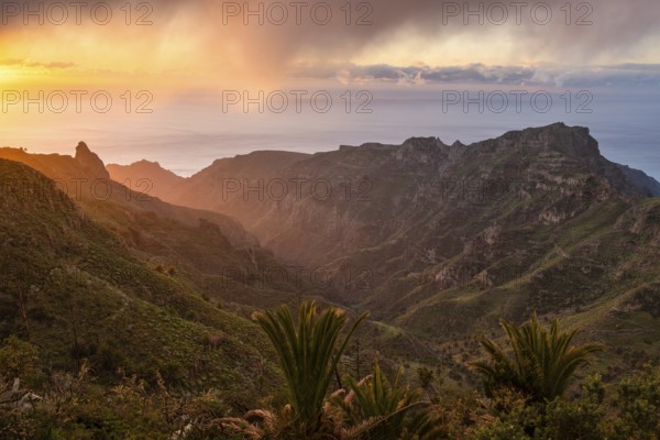 View of the Barranco Juan de Vera at sunrise. Mountains, palm trees, rocks and sea. Near Mirador Degollada de Peraza. La Gomera, Canary Islands, Spain, Europe