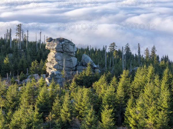 View from the summit of the Dreisesselberg (1333m) over rock tower, forest and sea of fog, inversion weather, fog in the lowlands, Lower Bavaria, Bavarian Forest, Bavaria, Germany, Europe