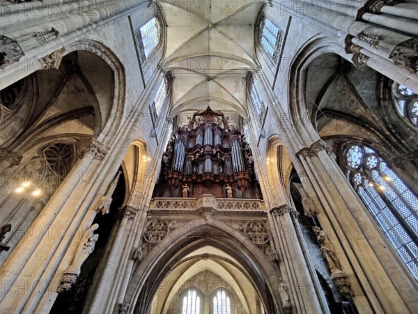Interior view with a view of the organ, St Stephen's and St Sixtus Cathedral, Halberstadt, Saxony-Anhalt, Germany, Europe