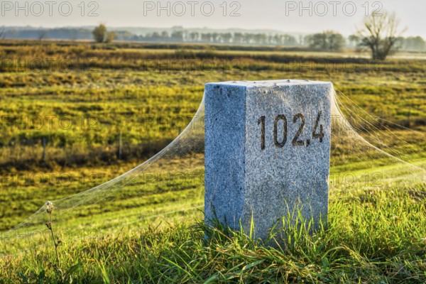 Cobwebs on kilometre stone on dyke near Schwedt Oder, Brandenburg, Germany, Europe