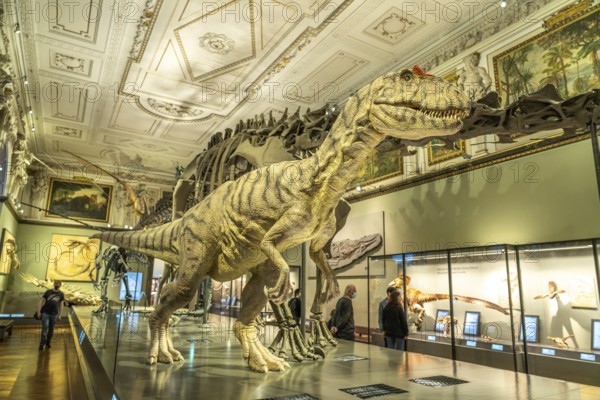 Tyrannosaurus rex in the dinosaur hall of the Natural History Museum Vienna, Austria, Europe
