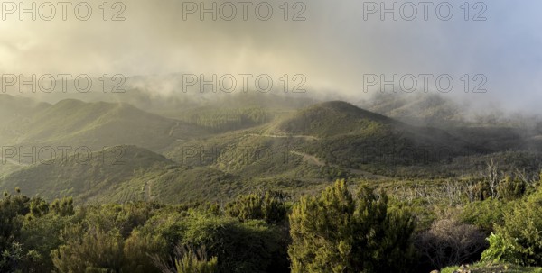 Sunset, view from the mountain Alto de Garajonay, Garajonay National Park, La Gomera, Canary Island, Spain, Europe
