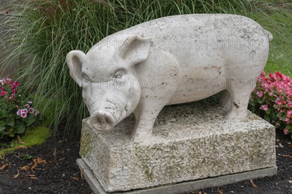 Pig figure, symbolising the rescue of the town of Nördlingen in 1440, Nördlingen, Bavaria, Germany, Europe