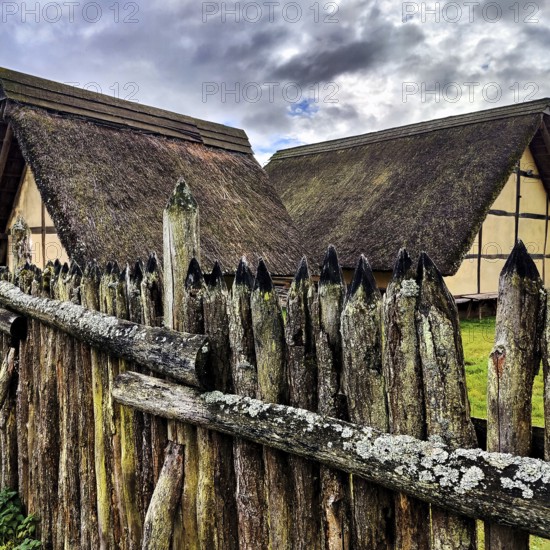 Reconstructed Celtic hilltop settlement Altburg, Bundenbach, Birkenfeld district, Hunsrück, Rhineland-Palatinate, Germany, Europe