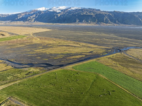 Grazing sheep, aerial view over meadows to glacier Eyjafjallajökull, Fljotsdalur valley, Iceland, Europe