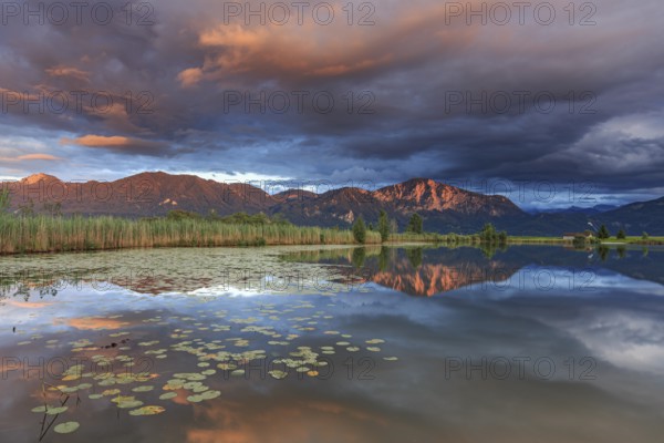 Mountains reflected in lake, cloudy mood, evening light, peace, silence, Loisach-Lake Kochel moor, Kochler mountains, Alpine foothills, Bavaria, Germany, Europe