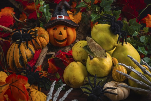 Halloween still life with quinces, pumpkins, spiders and a pumpkin with a witch's hat