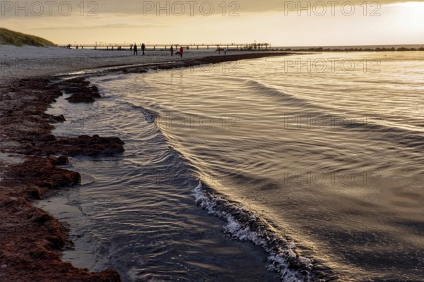 Baltic Sea beach, Baltic Sea coast with the Wustrow pier, evening mood, Baltic seaside resort Wustrow, Fischland-Darß-Zingst peninsula, Mecklenburg-Western Pomerania, Germany, Europe
