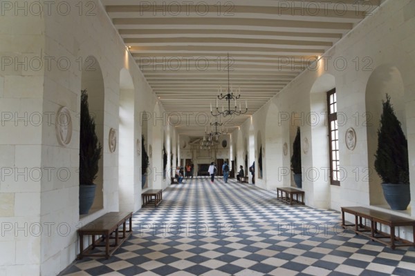 Daylight-flooded hall with vaulted ceilings and geometric tile patterns, gallery, Chenonceau Castle, Château de Chenonceau, moated castle, Chenonceaux, Indre-et-Loire, Centre-Val de Loire, France, Europe