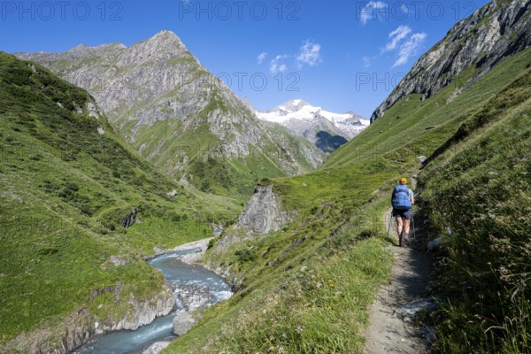 Hiker on hiking trail, behind Großen Schober and Rötspitze, river Isel, Umbaltal, National Park Hohe Tauern, East Tyrol, Tyrol, Austria, Europe