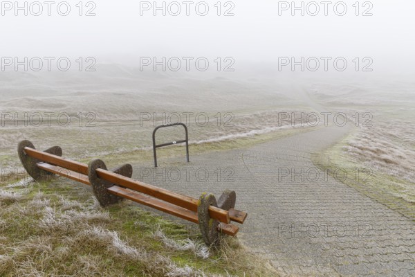 Path through the dunes in fog and hoarfrost, Norderney, Lower Saxony, Germany, Europe