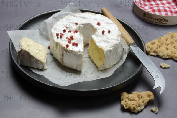 French soft cheese on plate with cheese knife, France, Europe