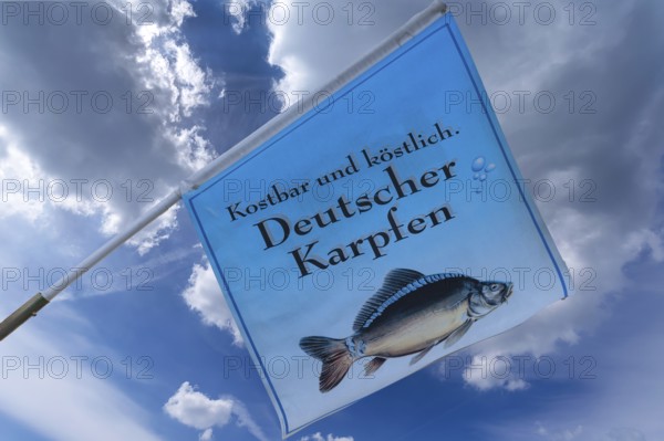 Flag with a carp in front of a fish restaurant, Nuremberg, Middle Franconia, Bavaria, Germany, Europe