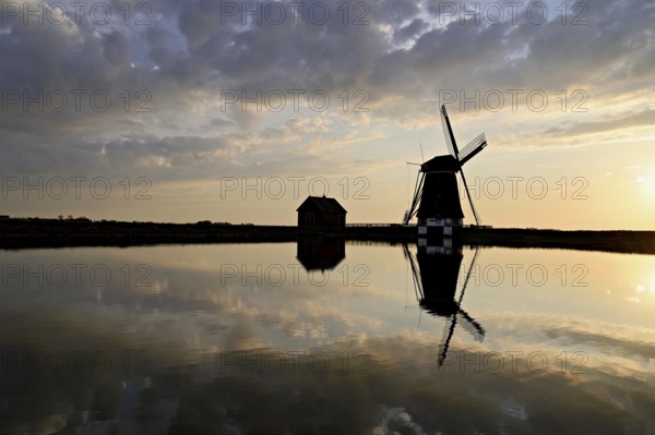 Historic windmill in the light of the setting sun, De Traanroeier, Het Noorden Molen, Texel, North Holland, Netherlands