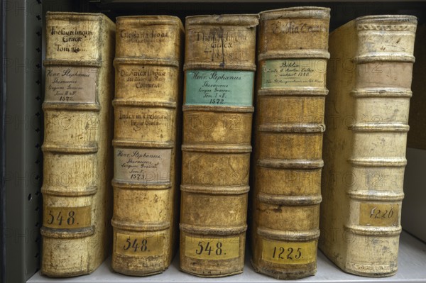 Antique books in Greek from 1572, bound in pigskin, Bavaria, Germany, Europe