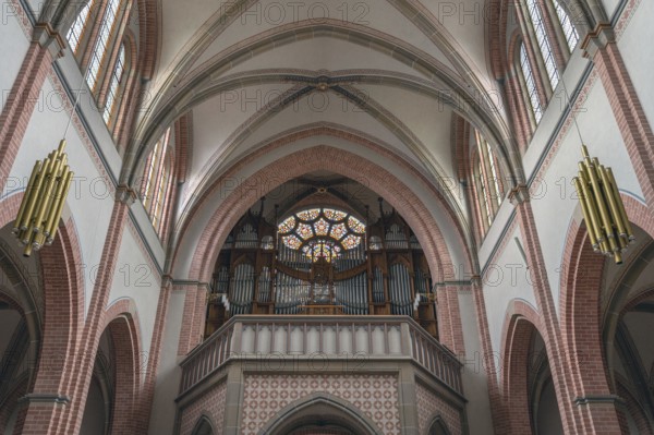Organ loft of the neo-Gothic parish church Bregenz-Herz Jesu, consecrated in 1906, Bregenz, Baden-Württemberg, Germany, Europe
