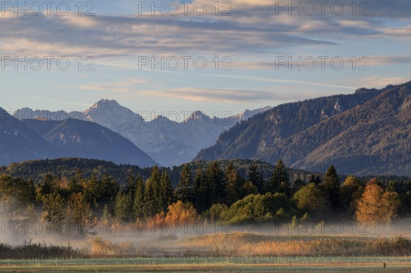 Foggy mood over trees in the morning light, mountain landscape, autumn, near Murnau, behind Wetterstein mountains, Bavaria, Germany, Europe
