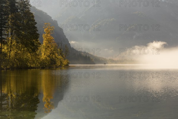 Lake Almsee in autumn with a forest reflected in the lake. A slowly dissipating fog moves over the lake