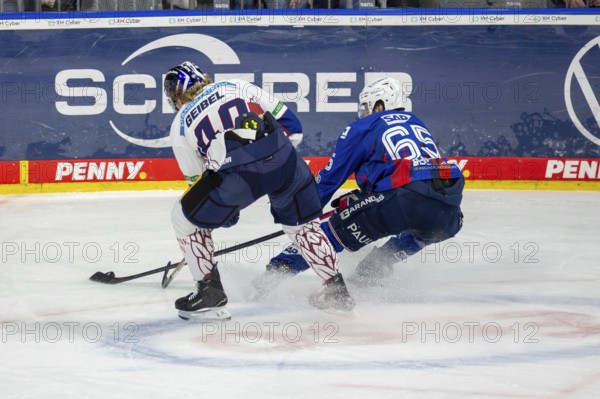 DEL, German Ice Hockey League season 2024/25, 52nd matchday: Adler Mannheim vs Eisbären Berlin***Picture: Marc Michaelis (65, Mannheim) and Korbinian Geibel (40, Berlin)