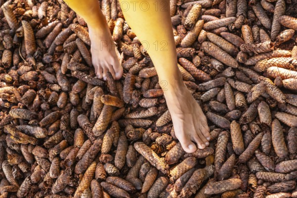 A person's feet are on top of a pile of pine cones. The pine cones are scattered all over the ground, and the person's feet are in the middle of them. The scene has a natural and peaceful feel to it