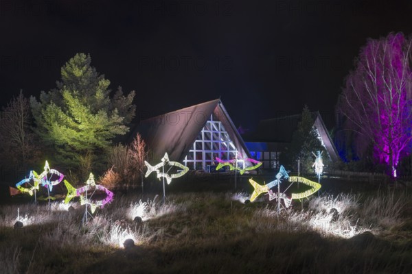Colourful fish light installations and illuminated buildings at night, World of Lights, Illumination, Mill Museum, Gifhorn, Lower Saxony, Germany, Europe