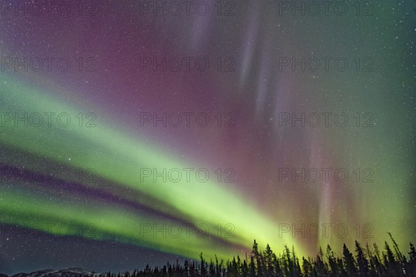 Aurora Borealis, Northern Lights, extreme starry sky, intense colouring, Yukon Territory, Canada, North America