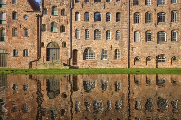 Historic salt storehouse, brick building with windows and doors, reflection on the water surface of the Trave, Hanseatic city of Lübeck, Schleswig-Holstein, Germany, Europe