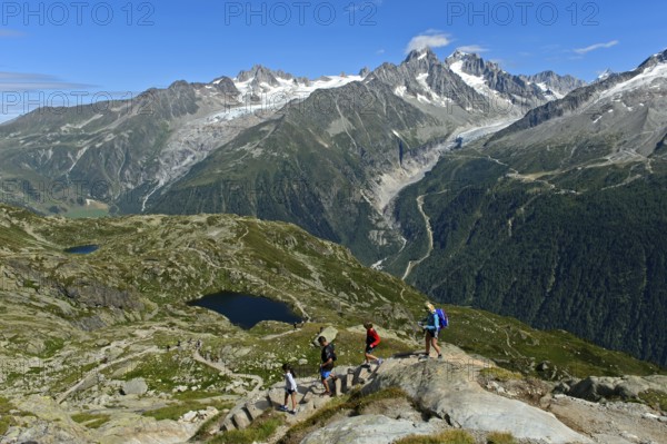 Hikers in the Chamonix hiking area in front of the alpine panorama of the French Alps, from left to right: summit Aiguille du Tour, glacier Glacier du Tour, summit Aiguille du Chardonnet and Aiguille d'Argentière, glacier Glacier d'Argentière, Chamonix, Savoie, France, Europe