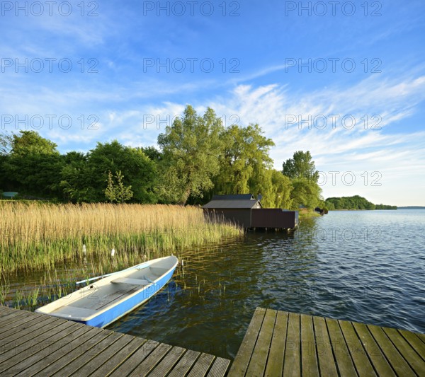 Wooden jetty in the reeds, rowing boat and boathouses, Schaalsee Biosphere Reserve, Zarrentin am Schaalsee, Mecklenburg-Western Pomerania, Germany, Europe