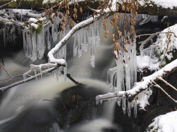 Icicles on the hill stream the Schwartzbach, in snow and ice in November. The Rhön UNESCO Biosphere nature reserve, county Bavaria, Germany, Europe