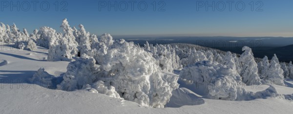 Brocken winter snowy firs panorama Harz Germany
