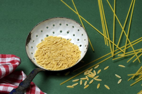 Semi di orzo in sieve ladle, pasta variety in the form of cereal grains and spaghetti