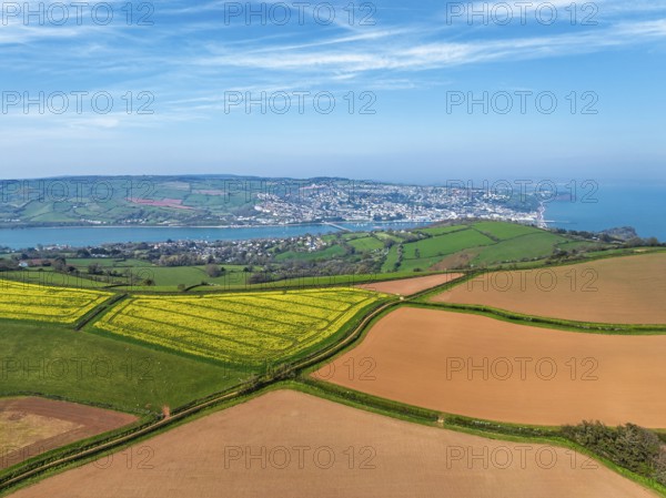 Rapeseed fields over the River Teign from a drone, Teignmouth, Shaldon, Devon, England, United Kingdom, Europe