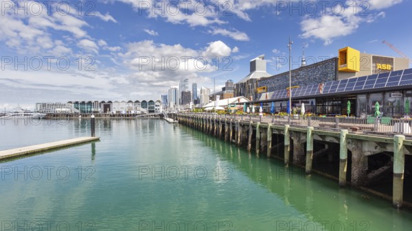Yachthafen, Auckland, Neuseeland