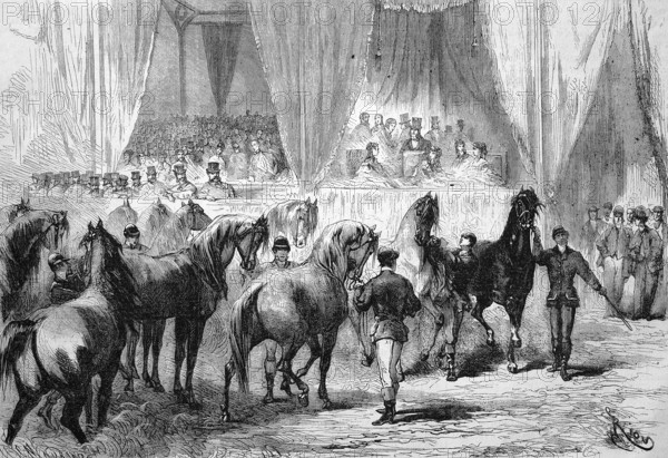 Horse show and award ceremony at the Palais de lIndustrie, the winning horses pass the jury stand, 1869, Paris, France, Historic, digitally restored reproduction of an original 19th century artwork, exact original date unknown, Europe