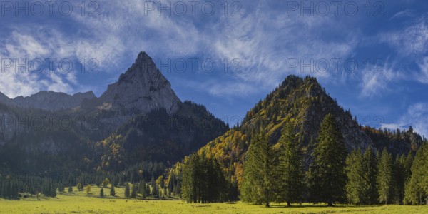 Alpine meadow near the Wankerfleck, behind it the Geiselstein, 1882m, Ammergau Alps, Ostallgäu, Bavaria, Germany, Europe