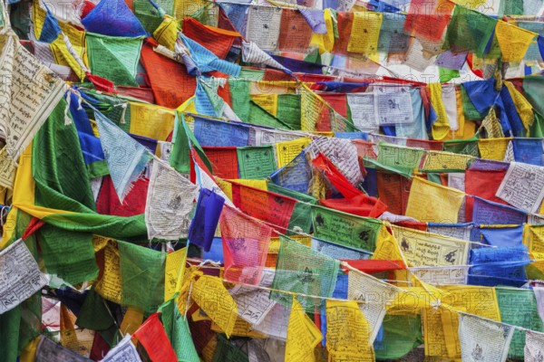 Tibetan Buddhism prayer flags (lungta) with Om Mani Padme Hum Buddhist mantra prayer. Leh, Ladakh, Jammu and Kashmir, India, Asia