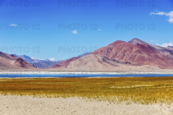 Tso Kar, fluctuating salt lake in Himalayas. Rapshu, Ladakh, Jammu and Kashmir, India, Asia