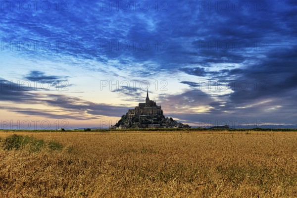 Mont Saint Michel behind a field, dusk in summer, Normandy, France, Europe