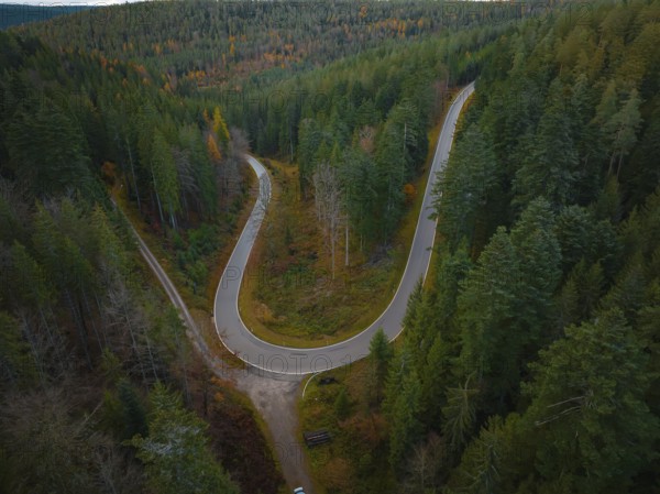 S-curve through the forest, Black Forest, Germany, Europe