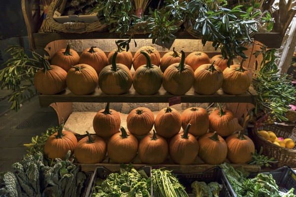 Shelves of Hokkaido pumpkins in front of a fruit shop open at night in the historic centre, Genoa, Italy, Europe