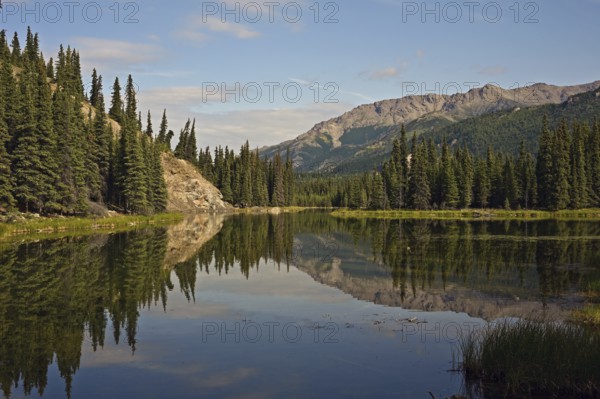 Horseshoe Lake with reflection, Denali National Park, Alaska