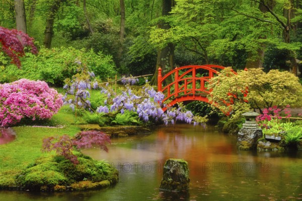 Small bridge in Japanese garden, Park Clingendael, The Hague, Netherlands