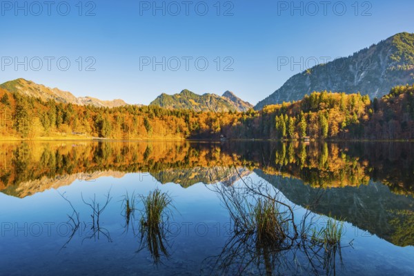Freibergsee, near Oberstdorf, with the Allgäu Alps behind, Allgäu, Bavaria, Germany, Europe