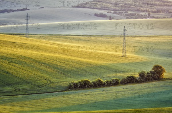 Moravian summer rolling landcsape with two power line tower. Moravia, Czech Republic, Europe