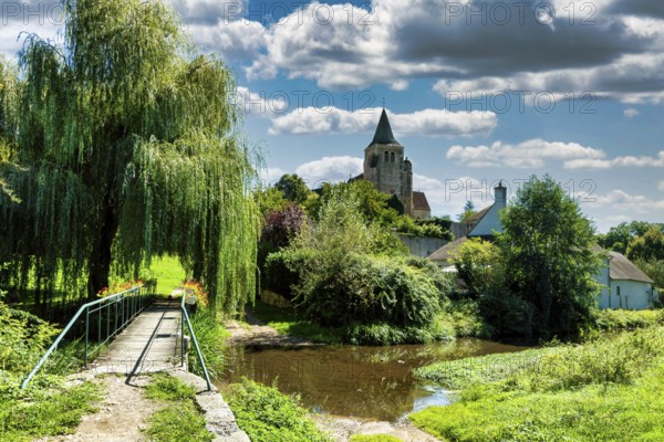 Land of Troncais, Ainay le Chateau. Allier department. Auvergne Rhone Alpes. France