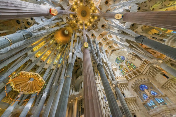 Interior of the Familia Sagrada, religion, Christianity, by the architect Antonio Gaudi in Barcelona, Spain, Europe