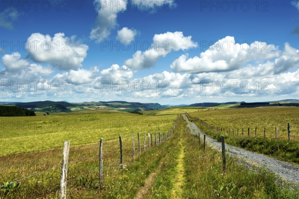 Cezallier plateau in the Auvergne volcanoes regional natural park, Puy de Dome department, Auvergne-Rhone-Alpes, France, Europe