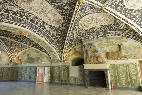 Hirschsaal, Gottorf Castle, Schleswig, Schleswig-Holstein, Germany, Europe